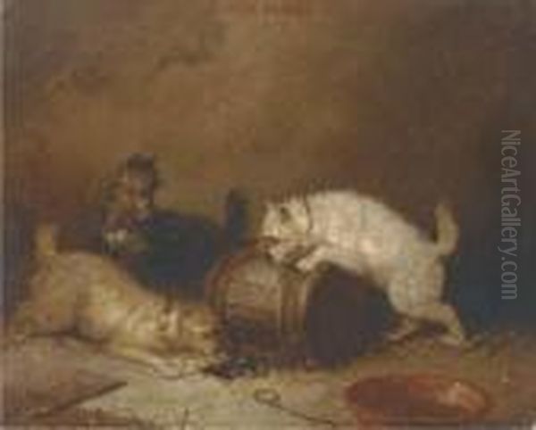 Terriers Ratting - view 1