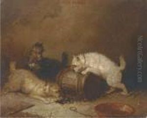 Terriers Ratting