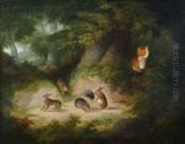A Fox Watching Rabbits - view 1