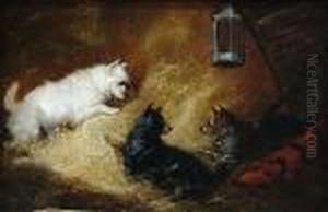 Three Terriers In A Stable by George Armfield