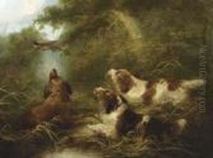 Spaniels Flushing Out A Pheasant by George Armfield