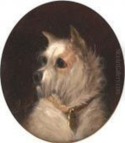 A Terrier - view 1