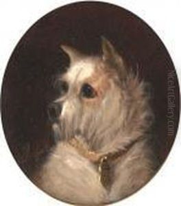 A Terrier