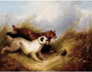 Terriers Rabbiting by George Armfield