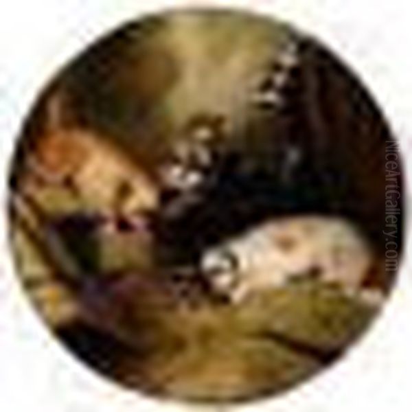 Terriers Ratting - view 1