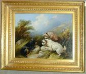Threeterriers Rabbiting Oil On Canvas 14 1/4 X 18in