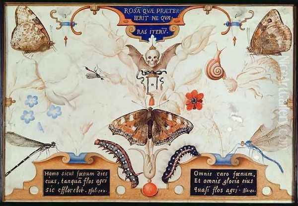 Diptych with flowers and insects - view 1