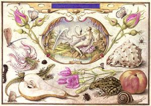 Leda and the Swan, surrounded by flora and fauna including a Stargazer Lily (Lilium 'Stargazer'), a Common Lizard (Lacerta vivipara), a Common Pear by Joris Hoefnagel