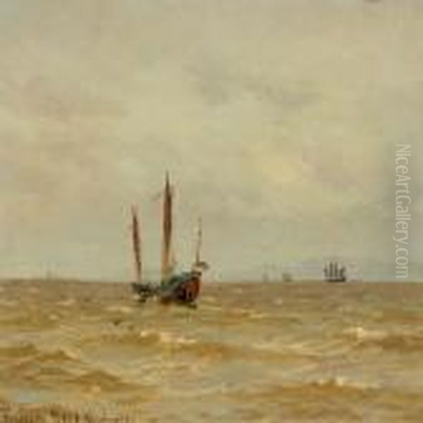 View From The Chinese Lake With Sailing Boats - view 1