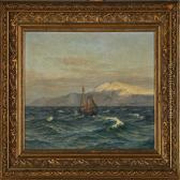 Coastal Scene, Island - view 1