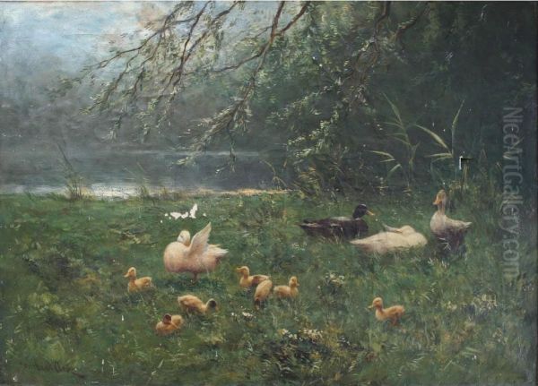 Ducks And Ducklings By A Pool - view 1