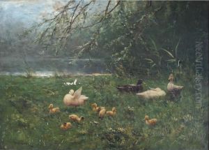 Ducks And Ducklings By A Pool