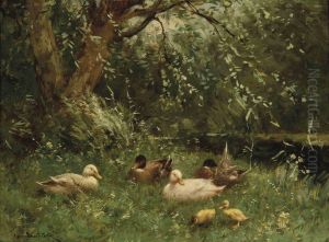 Ducks And Ducklings At A Riverside