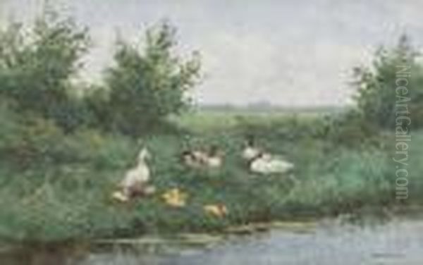 Ducks On A Riverbank - view 1