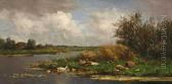 Eenden Aan De Slootkant - view 1