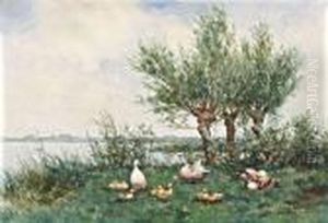 Eendenfamilie Bij Wilgenbomen Aan De Waterkant