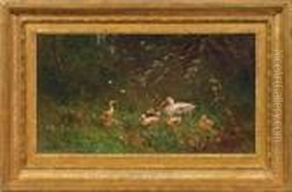 Entenfamilie Auf Einerwiese - view 1
