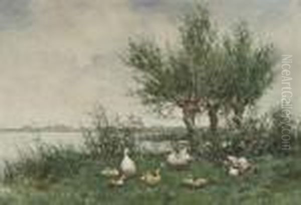 A Duck Family Resting On A River Bank - view 1