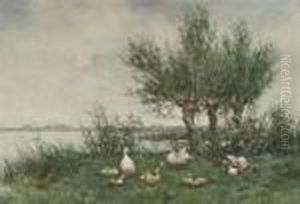 A Duck Family Resting On A River Bank by David Adolf Constant Artz