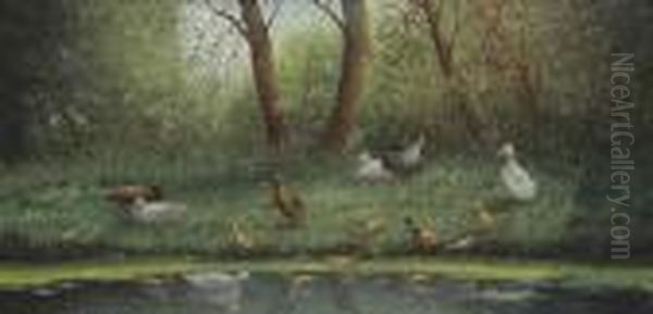 Eendjes Bij Het Water - view 1