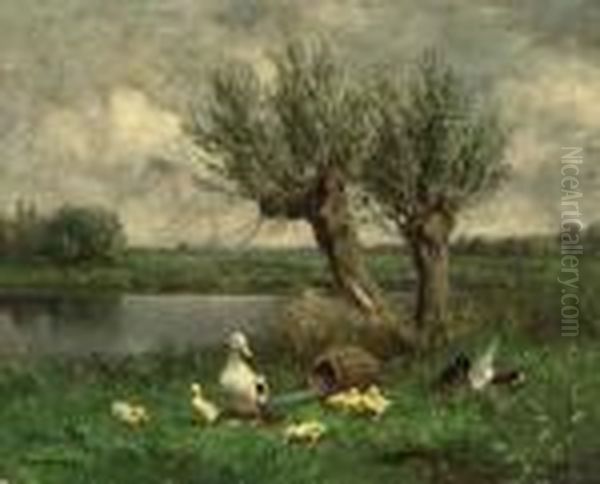 Ducks Near Two Willows On The Bank Of A Stream - view 1