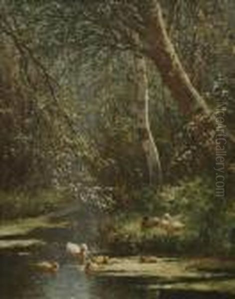 Enten Mit Ihren Kuken - view 1
