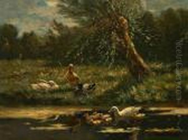 A Family Of Ducks Along The Riverbank - view 1