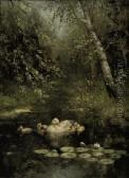 A Swim In The Pond - view 1