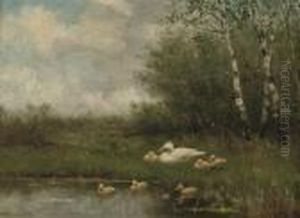 Ducks By A Pond Ducks By A Pond