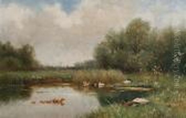 Ducks In A Summer Pond - view 1