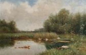 Ducks In A Summer Pond