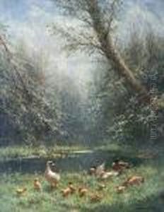 Ducks And Ducklings On A River Bank In Sunlight by David Adolf Constant Artz