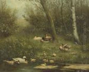A Swim In The Pond by David Adolf Constant Artz