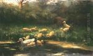A First Swim For The Ducklings by David Adolf Constant Artz