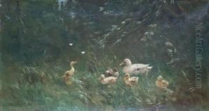 Ducks And Butterflies by David Adolf Constant Artz