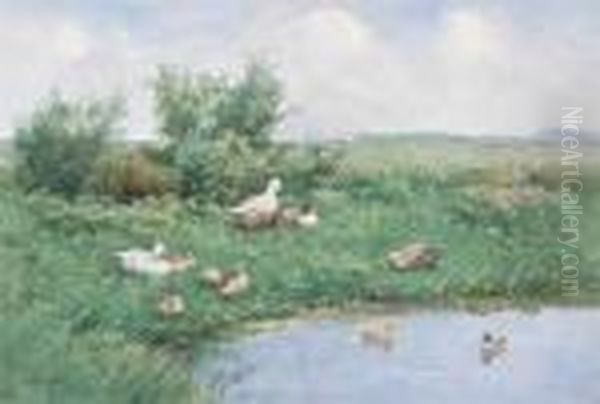 Ducks By A Pond - view 1