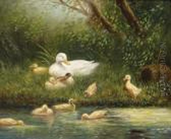 Ducks By The Water - view 1