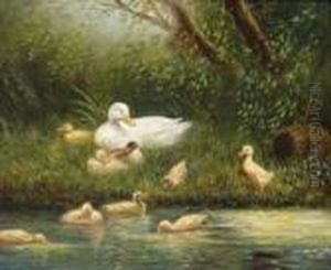 Ducks By The Water by David Adolf Constant Artz