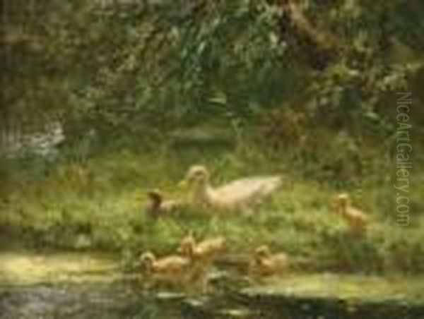 Ducks By The Water - view 1