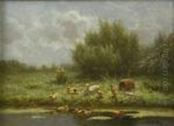 Ducks And Ducklings By Thewaterside - view 1