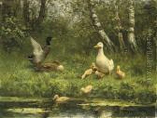 Ducks On The Waterfront - view 1