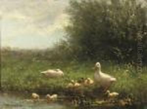 Ducklings On A Riverbank