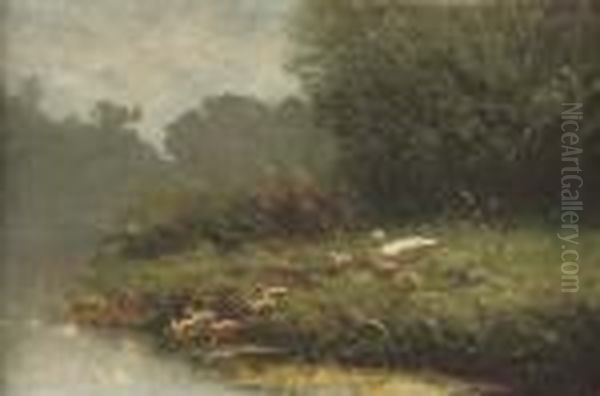 A Swim In The Pond - view 1