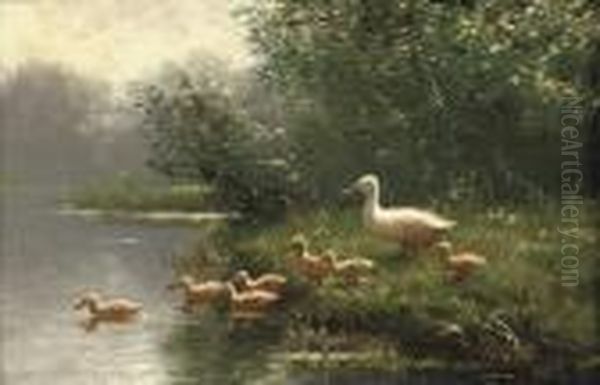 Mother Duck And Her Ducklings - view 1