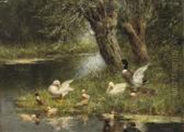 A Duck Family Near The Pond - view 1