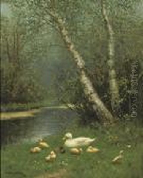 The Riverbank - view 1