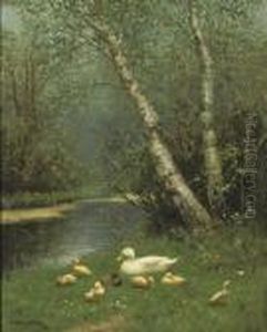 The Riverbank