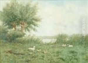 Ducks And Ducklingson The River Bank by David Adolf Constant Artz
