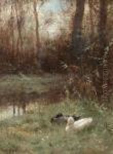 Eendenpaar Aan De Waterkant by David Adolf Constant Artz