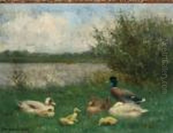 Eendenfamilie Aan De Waterkant - view 1